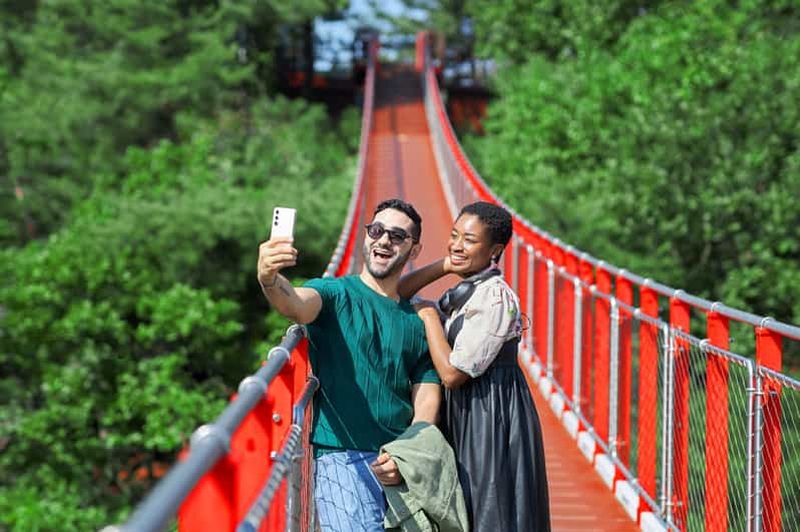 Billet Séoul : DMZ avec pont suspendu en option, vue sur la Corée du Nord