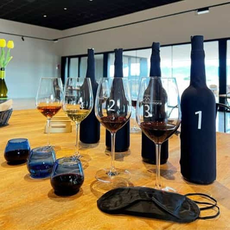 Billet La Rioja : Bodegas Amezola - Activité de dégustation de vin à l'aveugle