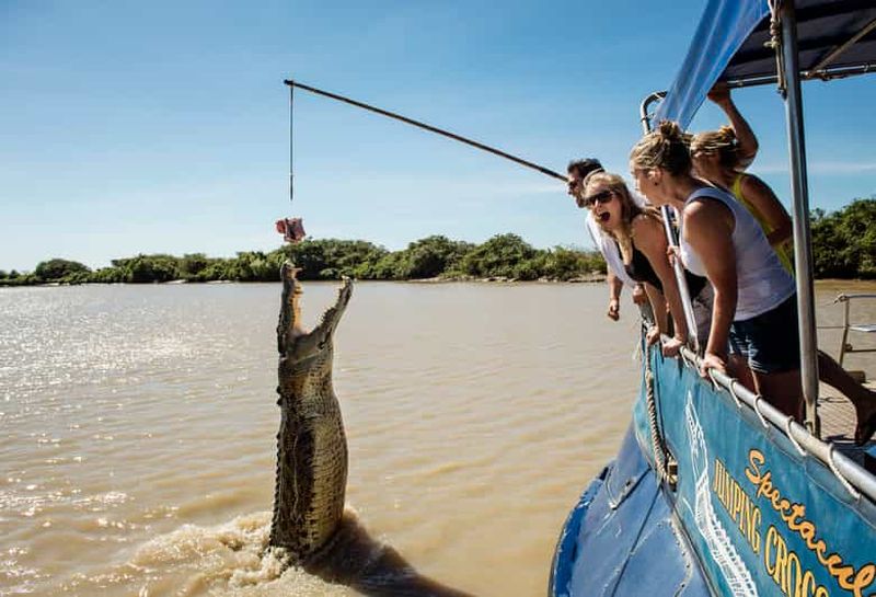 Billet Darwin : croisière fluviale avec les crocodiles et navette