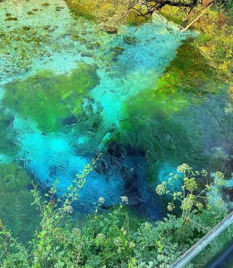 Billet Au départ de Vlora : Excursion d'une journée aux sources de Tepelene, Gjirokaster et Blue Eye