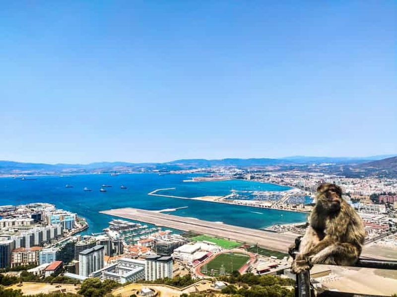 Billet Gibraltar : excursion privée premium et visite du Rocher