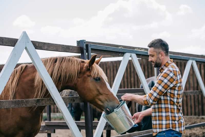 Billet Randonnée à cheval dans les vallées + déjeuner