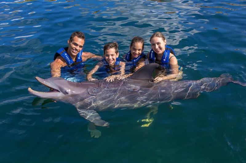 Billet Riviera Maya : Nagez avec les dauphins Primax