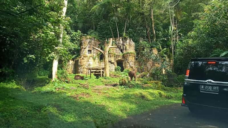 Billet Visite privée de Jakarta Parc safari, plantations de thé et cascade