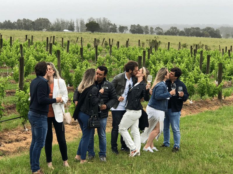 Billet San Francisco : Visite d'une demi-journée dans la Napa Valley avec dégustations de vins