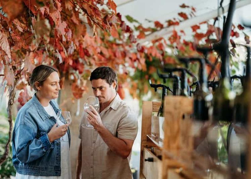 Billet Au départ de Perth : Margaret River Wine Tour & Wildlife Cruise (visite des vignobles de la rivière Margaret et croisière à la découverte de la faune et de la flore)