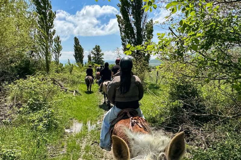 Billet Excursion à cheval de 2 heures au ranch Palomino près de Tbilissi