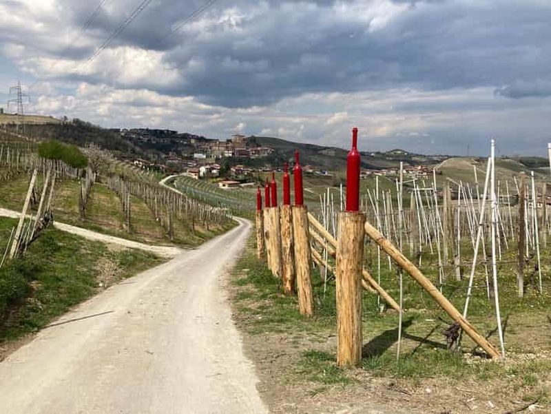 Billet Cisterna d'Asti : Visite en vélo électrique à travers les collines et les vignobles