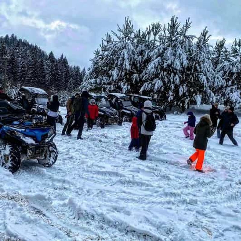 Billet Brașov : excursion en buggy ou en quad hors-piste dans les Carpates