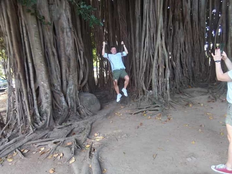 Billet Roseau : Visite de la forêt tropicale, des chutes d'eau et des geysers de Trafalgar.