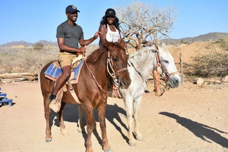 Billet Cabo San Lucas : Aventure à cheval sur le sable blanc
