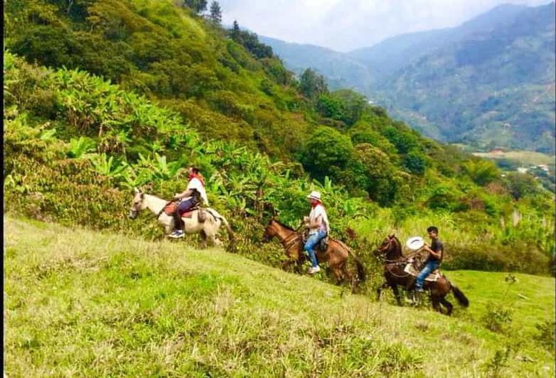 Billet Medellín : Authentique randonnée à cheval en Colombie