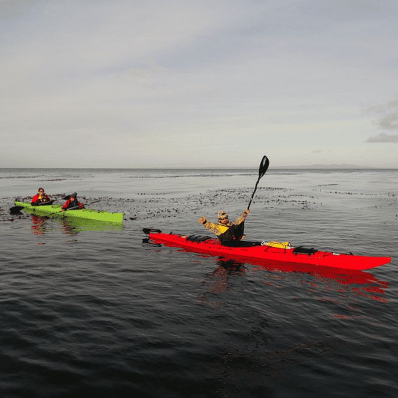 Billet Punta Arenas : Excursion en kayak avec la faune et la flore