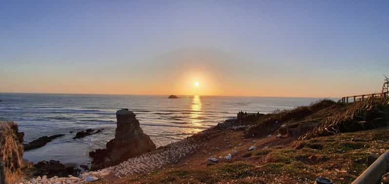 Billet Auckland : Excursion au coucher du soleil avec piscine thermale et dégustation de vin