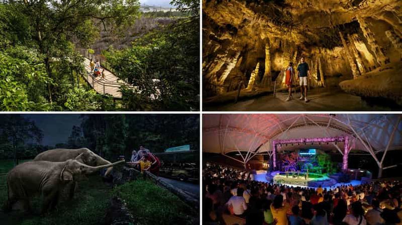 Billet Singapour : visite guidée de Rainforest Wild Asia et du Night Safari