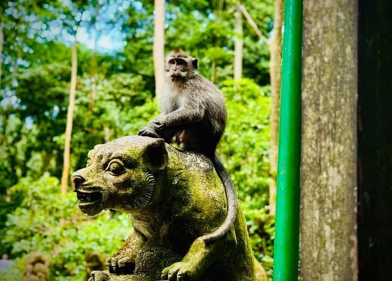 Billet Ubud : Sanctuaire de la forêt sacrée des singes : billet et visite guidée