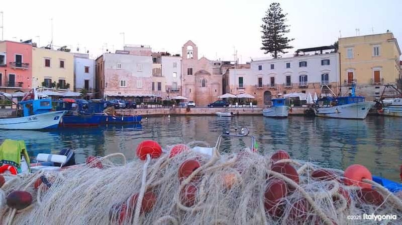 Billet Gallipoli : visite exclusive d'une journée à Trani/Castel del Monte