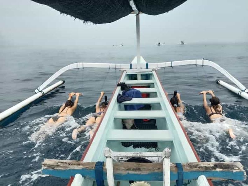 Billet Bali : Observation des dauphins et plongée en apnée à Lovina