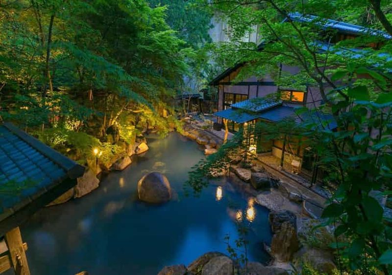 Billet Au départ de Tokyo : visite privée à Fuji/Hakone - Onsen, art, nature