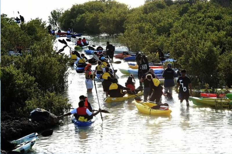 Billet Al Thakira : visite guidée en kayak de la mangrove