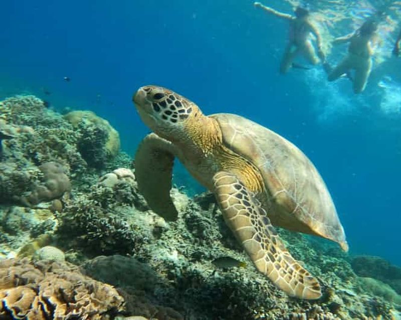 Billet Gili Air : Excursion de Snorkeling Privée et Partagée + Prise de Vue avec une Caméra Gopro