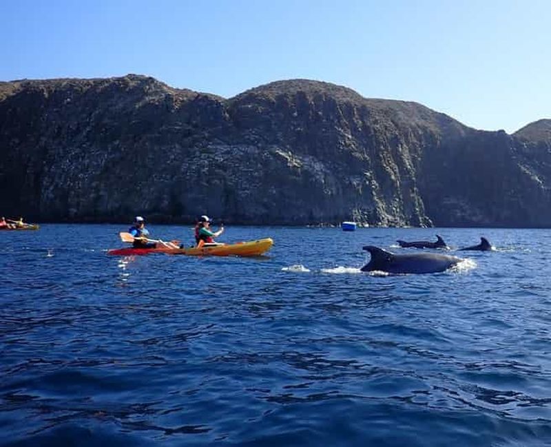 Billet Tenerife : safari en kayak avec plongée avec tuba et collation