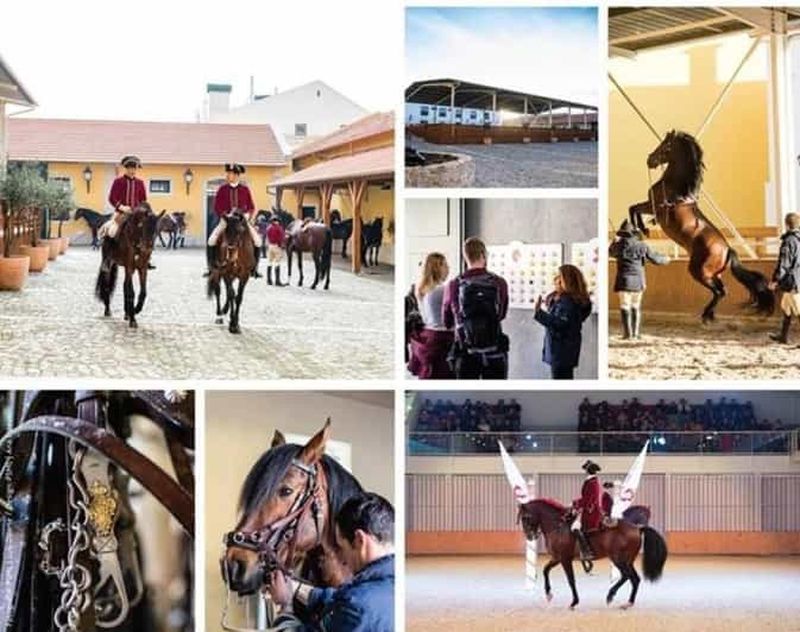 Billet Visite privative d'une journée à Lisbonne et école d'équitation