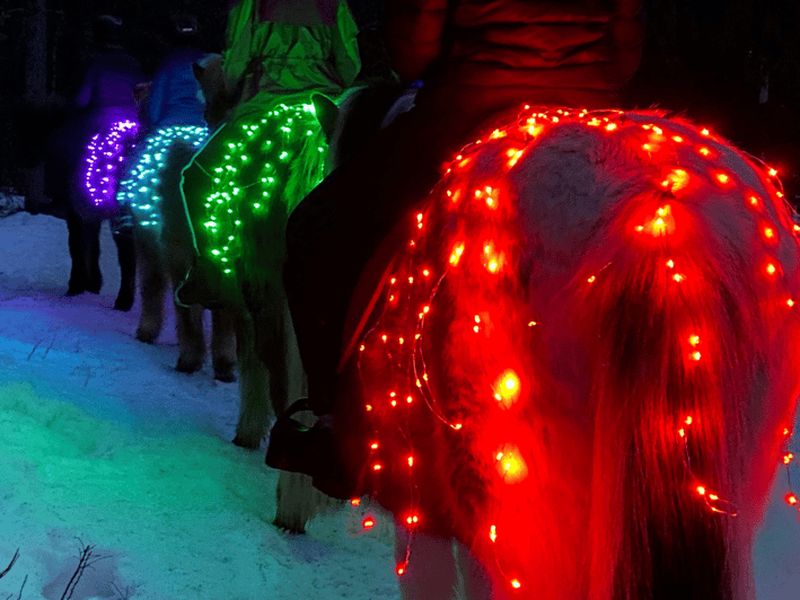 Billet Levi : Promenade à cheval lumineuse dans le pays des merveilles hivernales