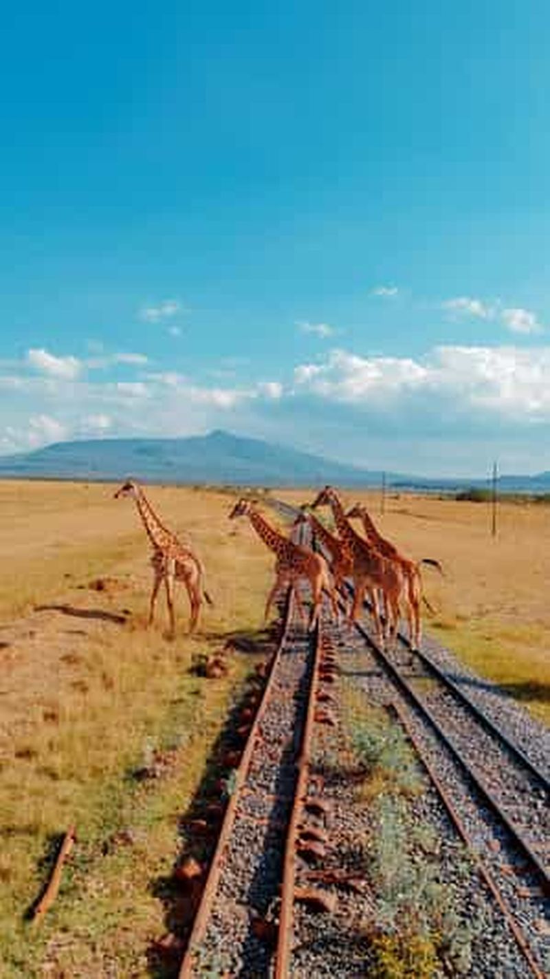 Billet Nairobi : safari de 3 jours dans la vallée du Grand Rift avec sortie en bateau
