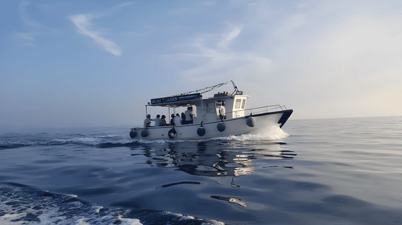 Billet La Spezia : visite privée, Portovenere, plongée en apnée, aperitivo