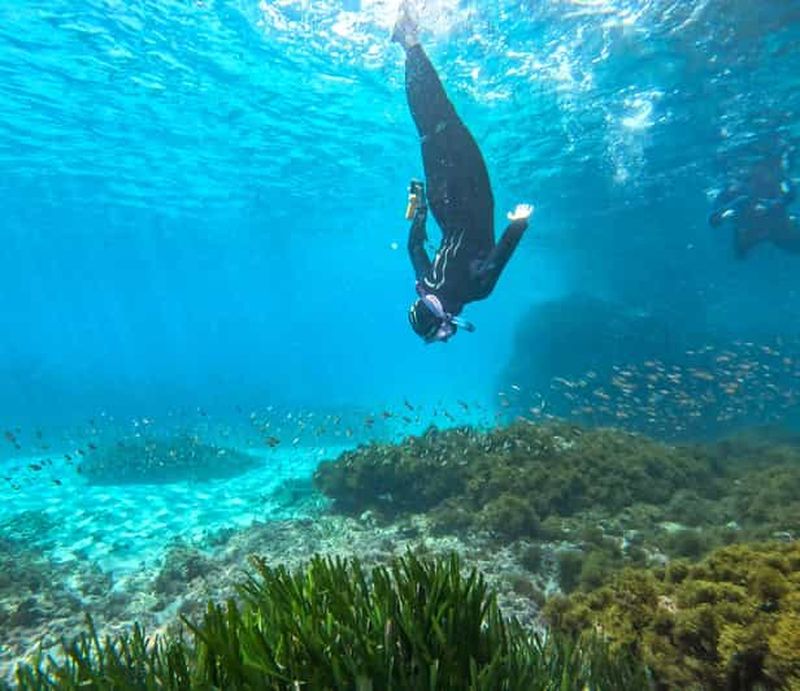 Billet Nerja-Maro : Snorkeling et excursion en bateau à moteur avec scooters des mers