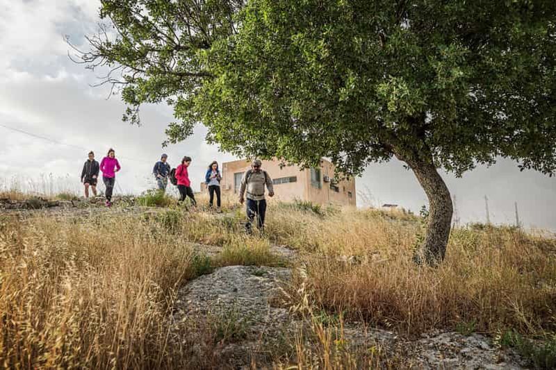 Billet Destinations Baraka : Randonnée légère guidée à Umm Qais
