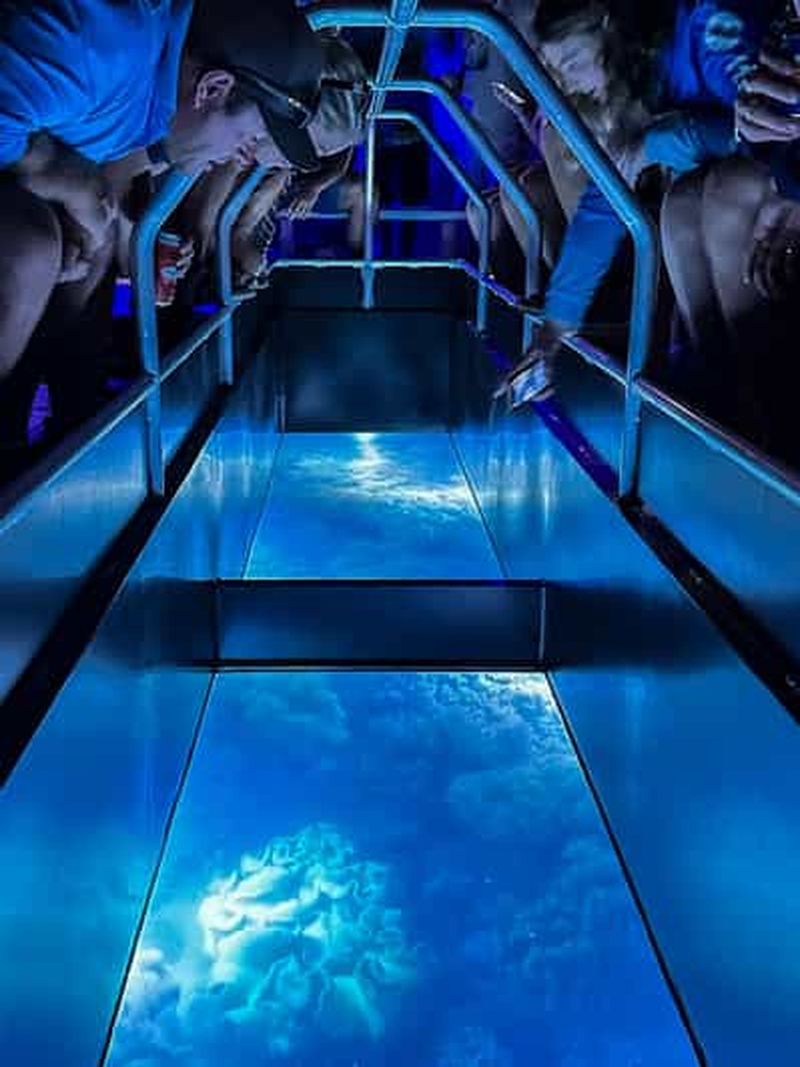 Billet Airlie Beach : Tour en bateau à fond de verre visite nocturne