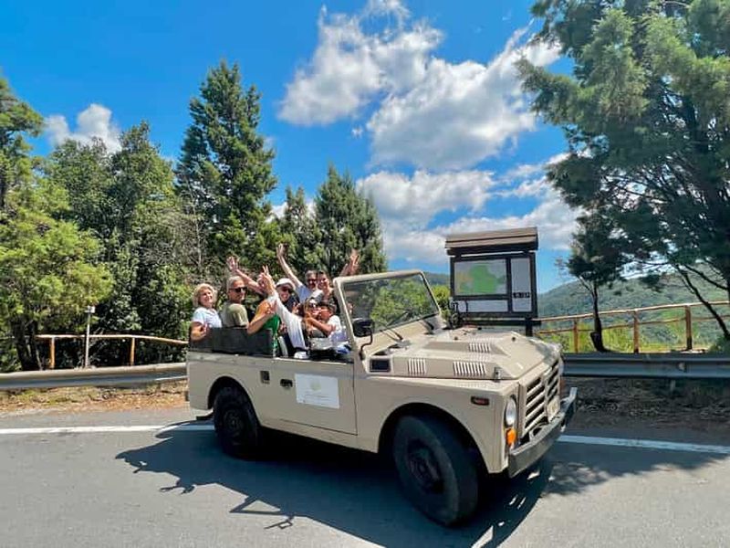 Billet Safari en jeep dans le parc national de l'Aspromonte