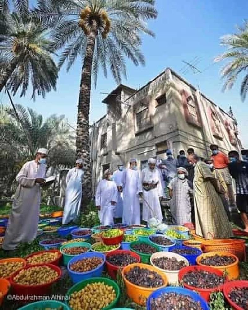 Billet Depuis Mascate : Grand Canyon de Jebel Shams et patrimoine de Nizwa