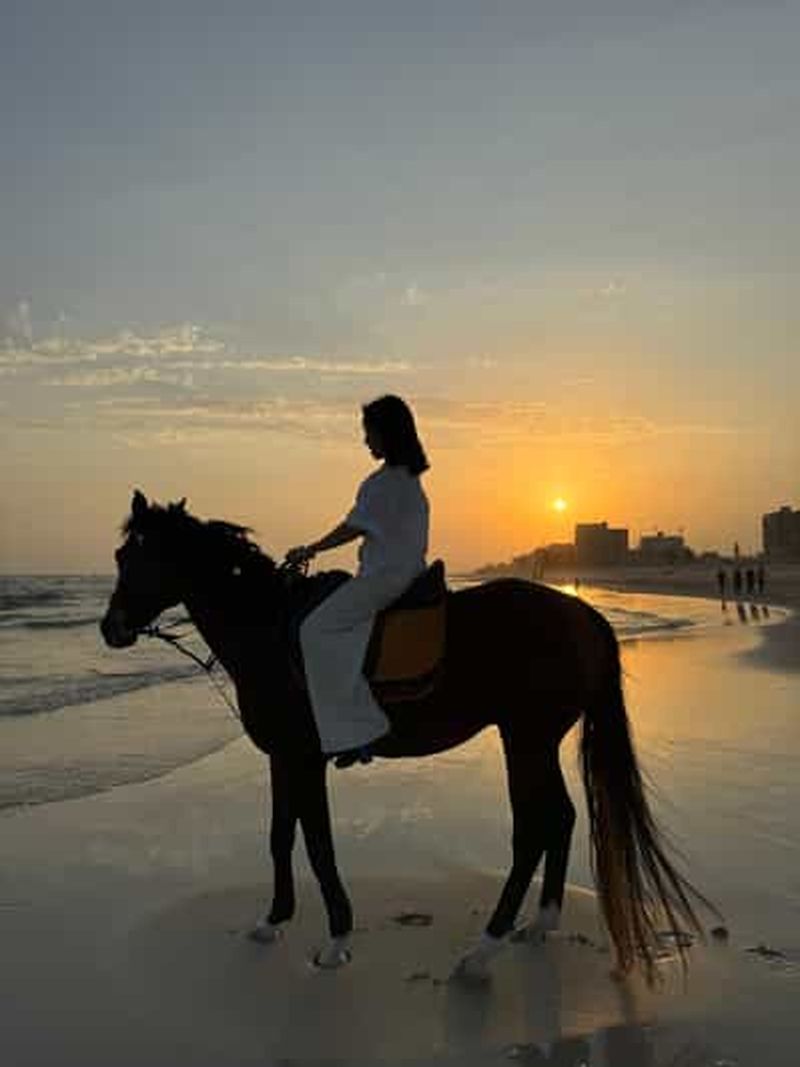 Billet Salalah : Randonnée à cheval sur la plage