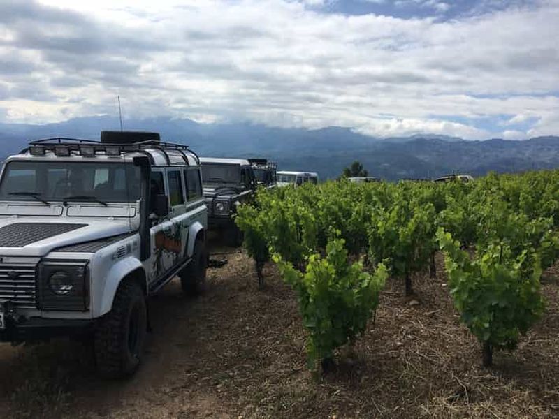 Billet Visite privée et exclusive des vignobles de Manousakis