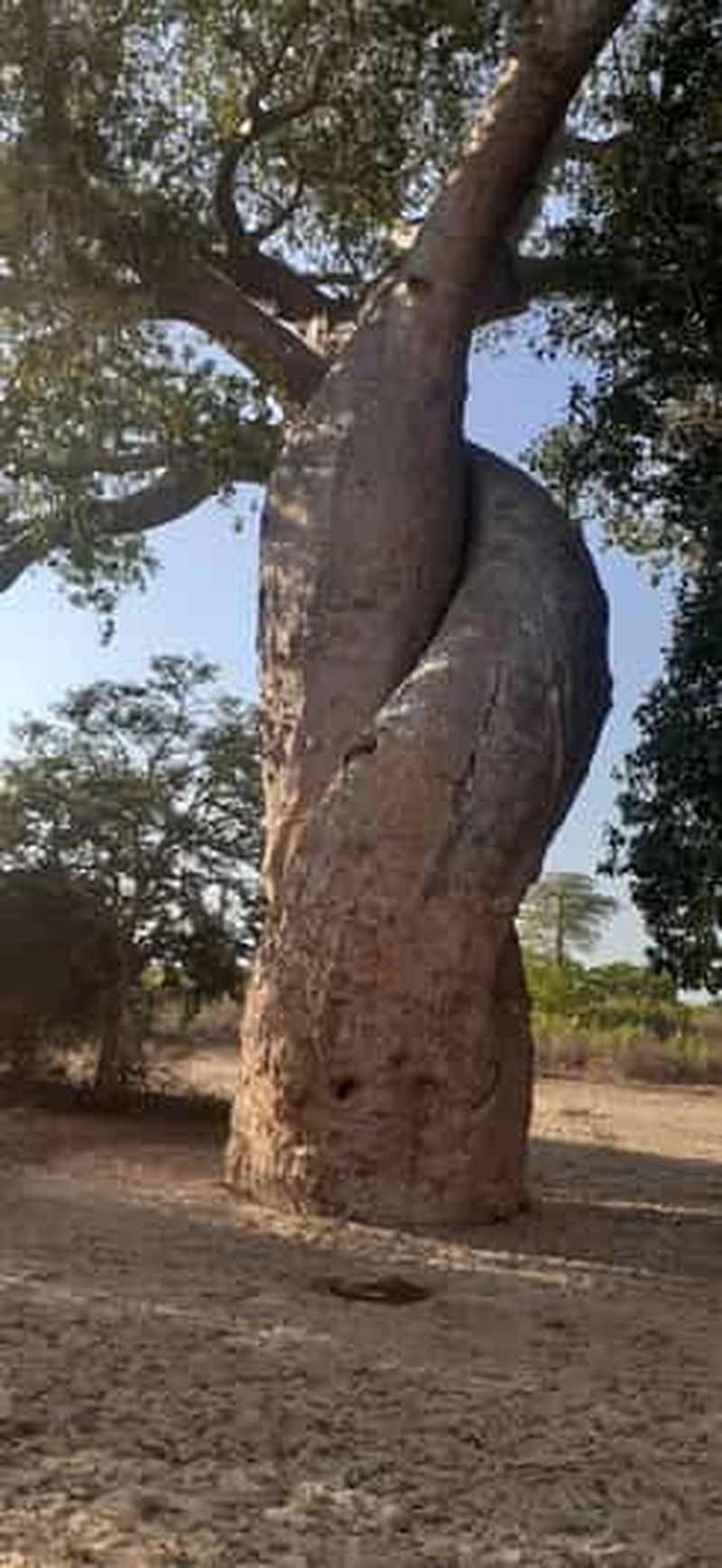 Billet La beauté occidentale de Madagascar : Tsingy et Baobab