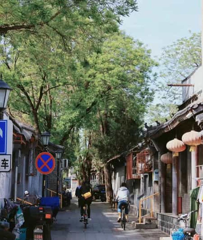Billet Pékin : visite à vélo de la Cité interdite avec entrée au parc Jingshan