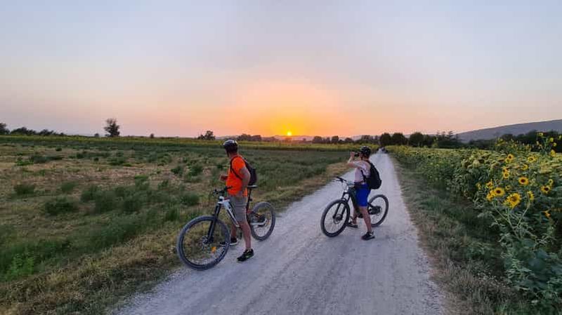 Billet Le vélo WINEdering : Visite privée à vélo et dégustation de vins