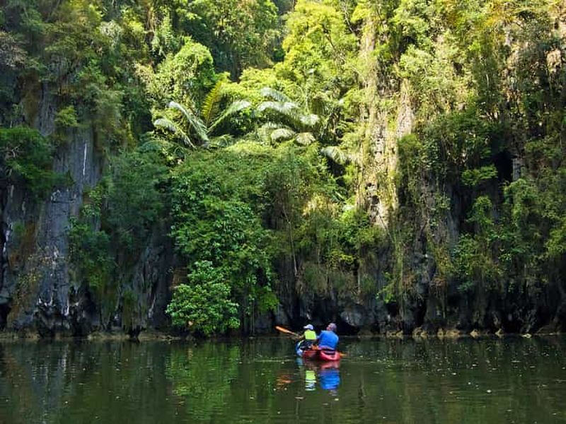 Billet Krabi : Aventure en kayak dans la forêt de mangroves d'Ao Thalane