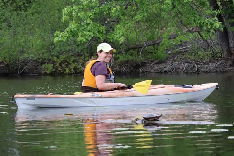 Billet Ottawa : excursion en kayak dans une réserve écologique avec observation de tortues