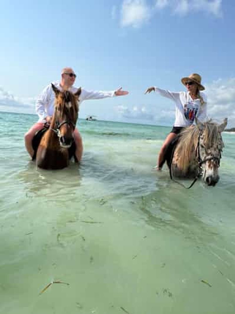 Billet ZANZIBAR : équitation et kayak transparent avec prise en charge