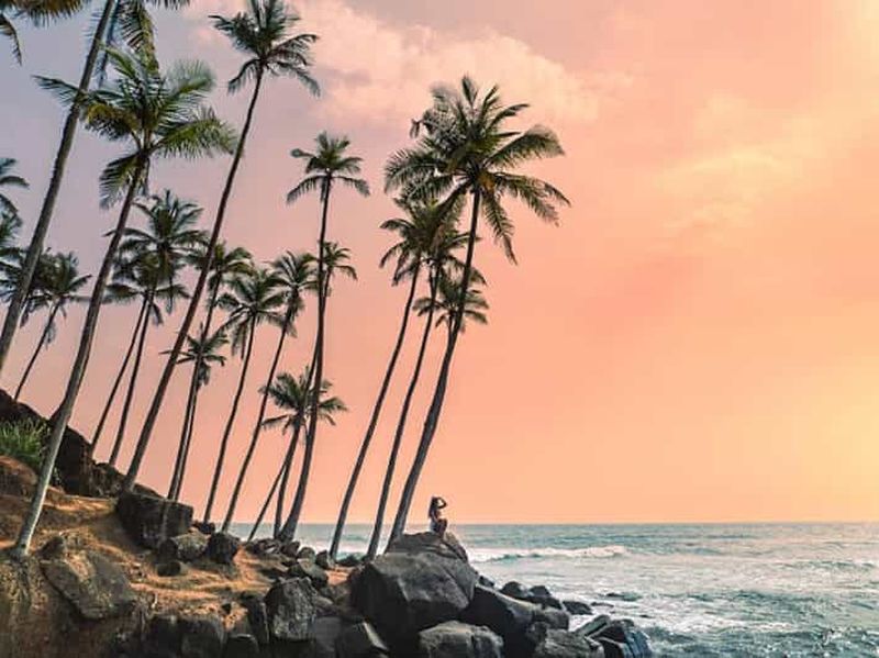 Billet Visite d'une journée à Mirissa : dauphins, tortues et plage