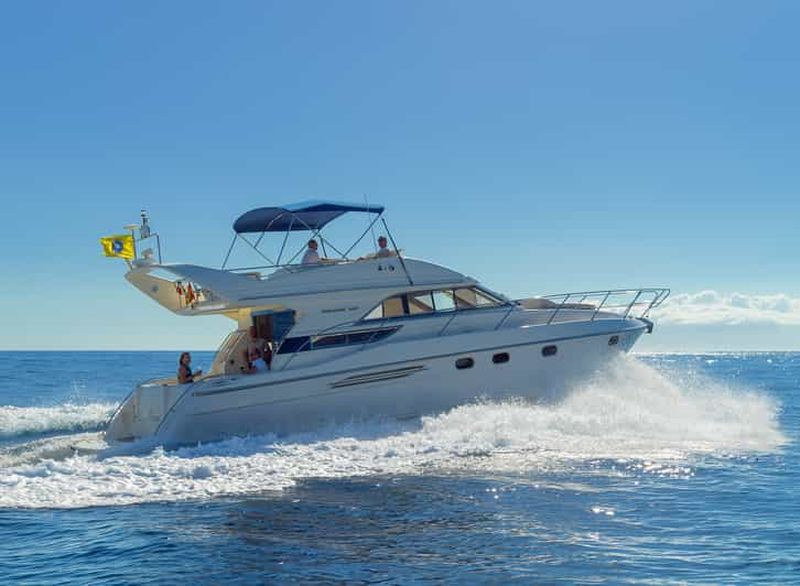 Billet Tenerife : Baleines et plongée en apnée à bord d'un yacht de luxe