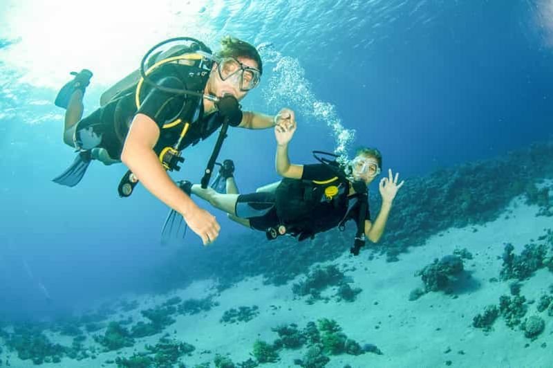 Billet Depuis Dubaï : plongée sous-marine et snorkeling d'une demi-journée à Fujairah