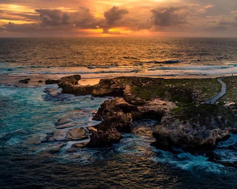 Billet Visite en bus de l'île Rottnest, des phoques, du coucher de soleil et de West End