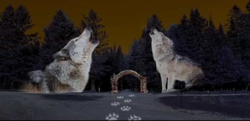 Billet Montebello, QC: Parc Omega ONIRO Immersive Experience at Night