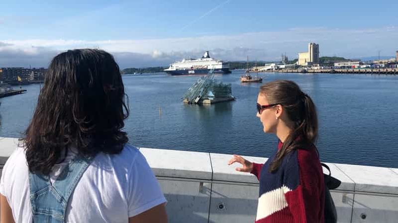 Billet Oslo dévoilé : Visite à pied privée