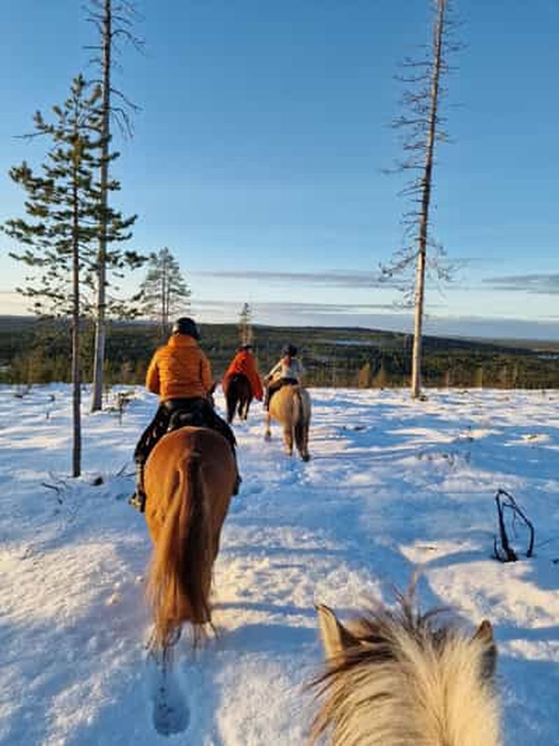 Billet Rovaniemi : promenade à cheval et déjeuner lapon au ranch